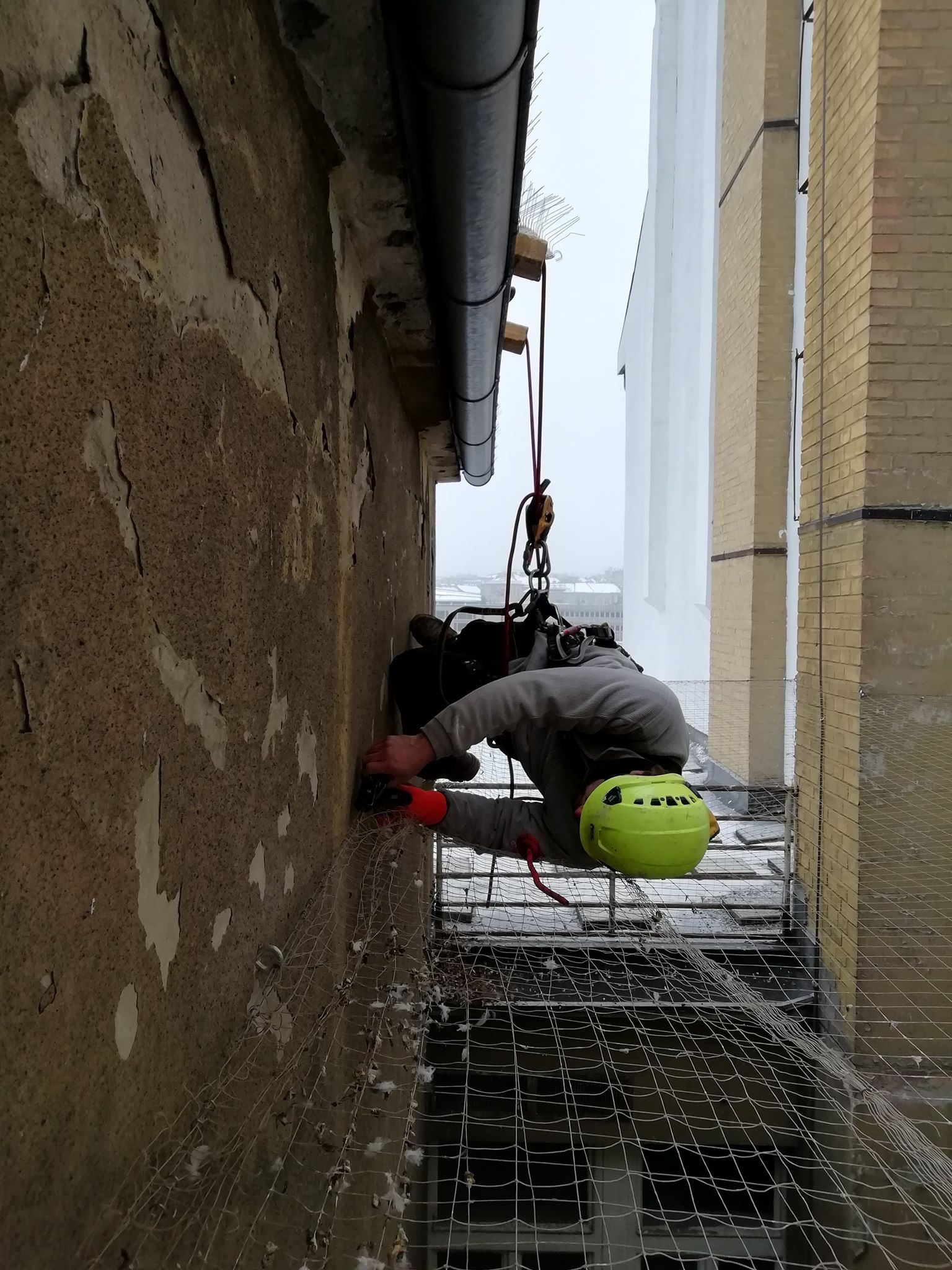 Galambmentesítő madárháló kiépítése